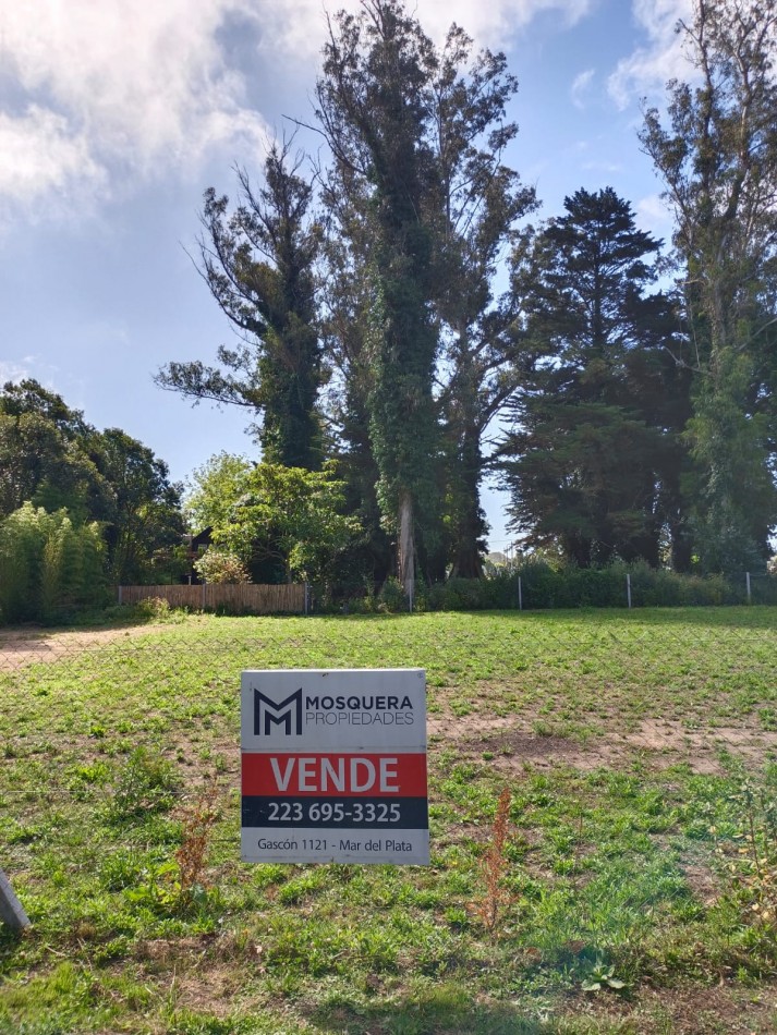Venta Lotes Bosque Peralta Ramos 