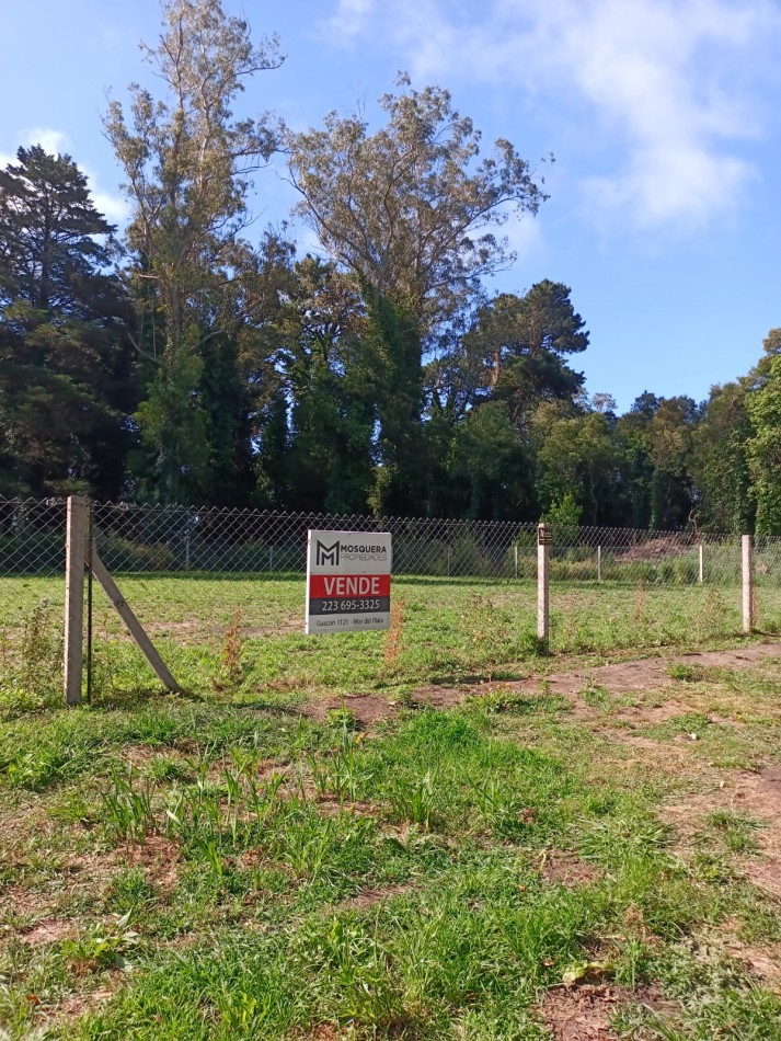 Venta Lotes Bosque Peralta Ramos 