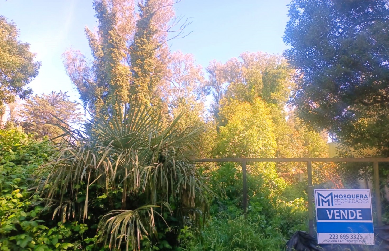 VENTA LOTES EN BLOCK BOSQUE PERALTA RAMOS