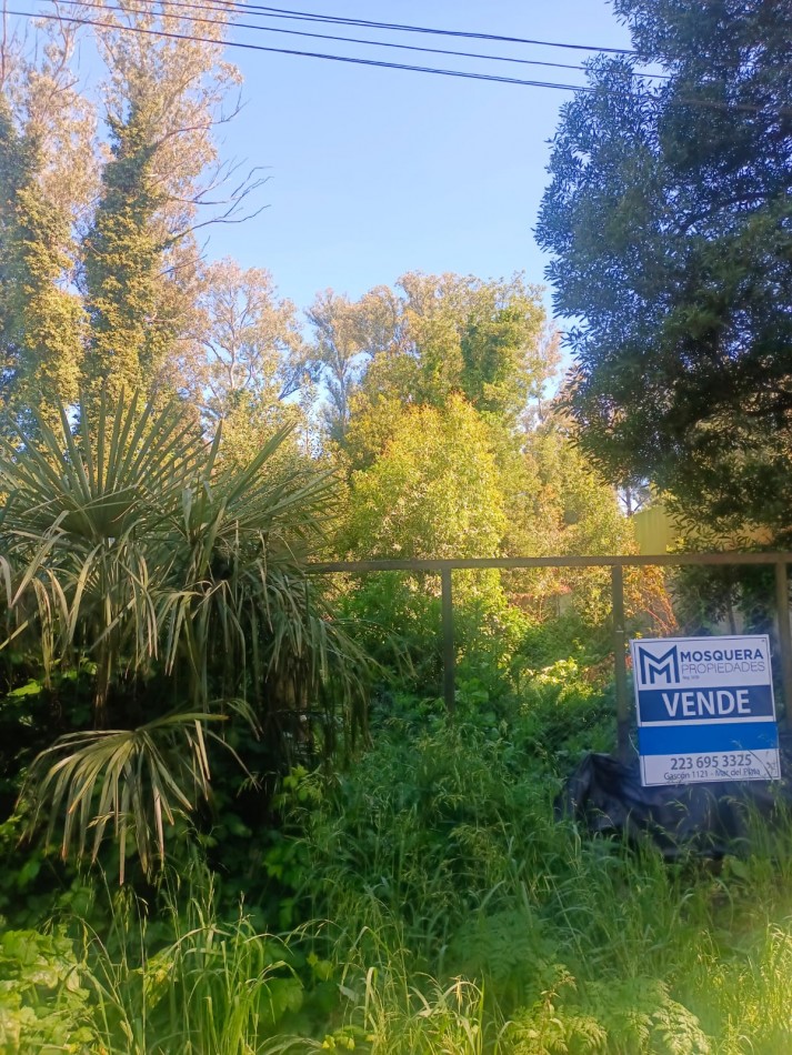 VENTA LOTES EN BLOCK BOSQUE PERALTA RAMOS