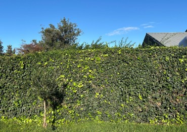 LOTE VENTA BARRIO EL JARDIN 