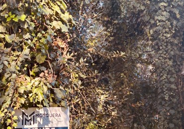 Terreno venta Bosque Peralta Ramos